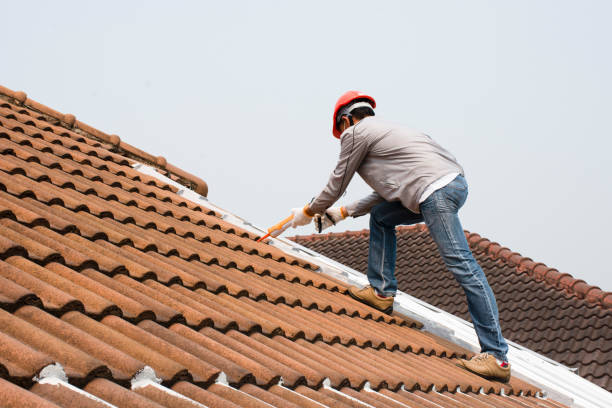 Best Roof Insulation Installation  in Towson, MD